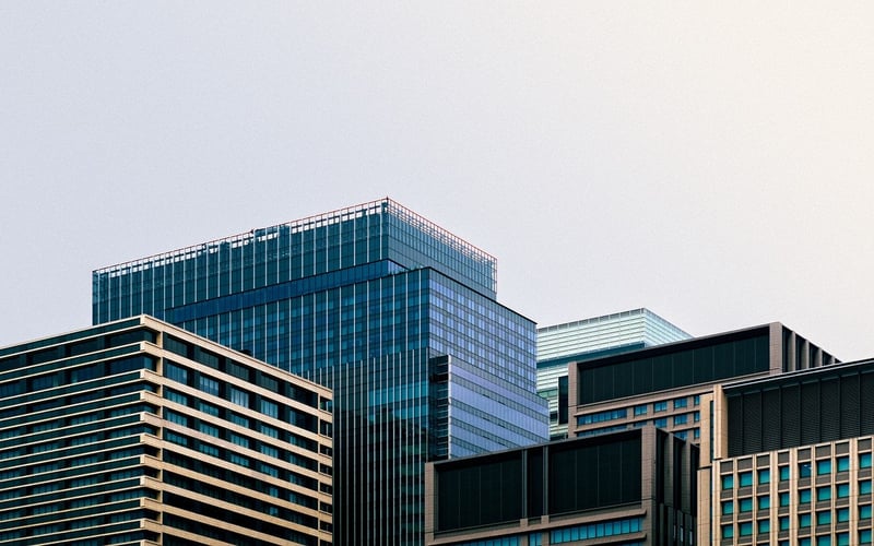 Professional Journey